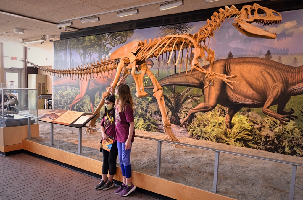 Dinosaur National Park