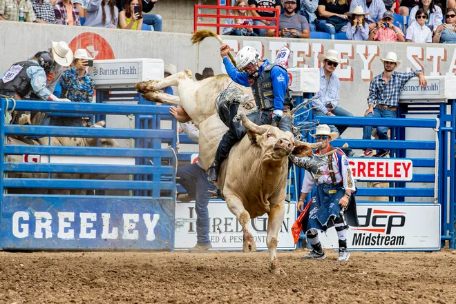 Greeley Stampede